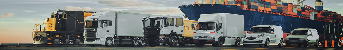 PHUC TAM BRANCH - WAREHOUSE SYSTEM